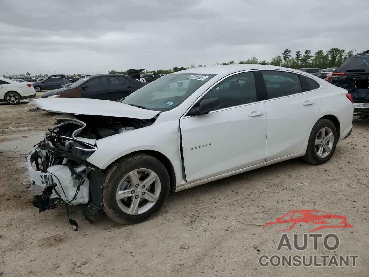 CHEVROLET MALIBU 2022 - 1G1ZB5STXNF203643