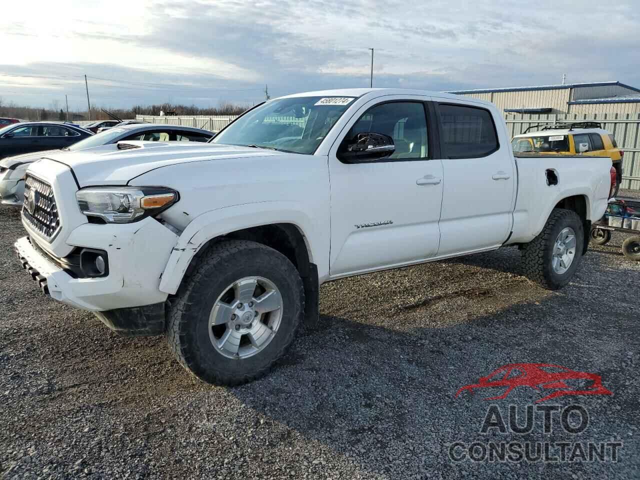 TOYOTA TACOMA 2019 - 5TFDZ5BN6KX041126