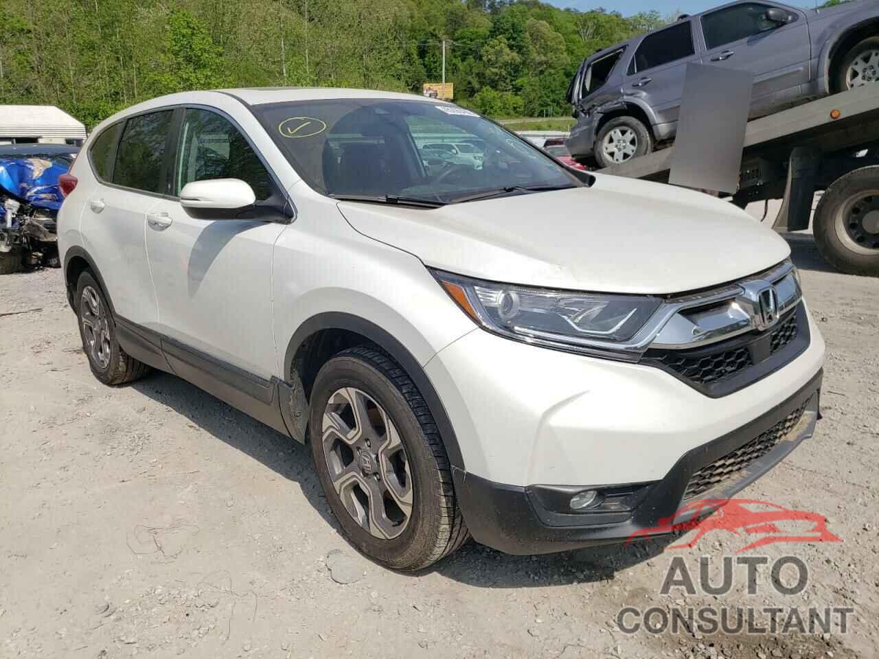 HONDA CRV 2019 - 7FARW2H51KE021157