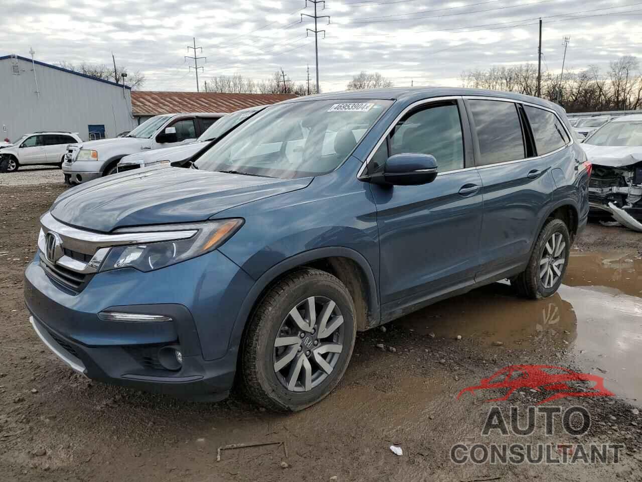 HONDA PILOT 2019 - 5FNYF6H36KB101311