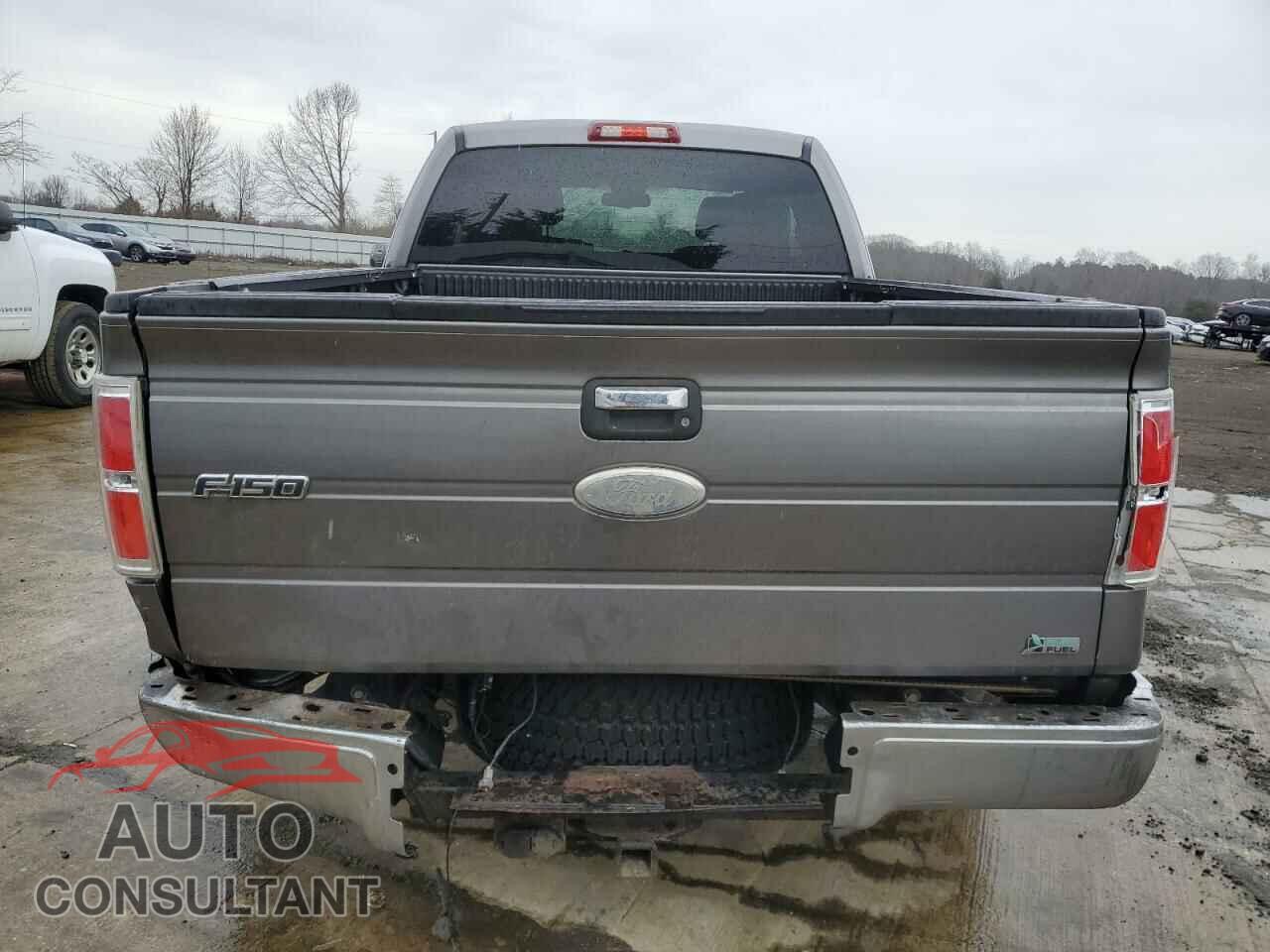 FORD F-150 2010 - 1FTFX1EV5AFB43282