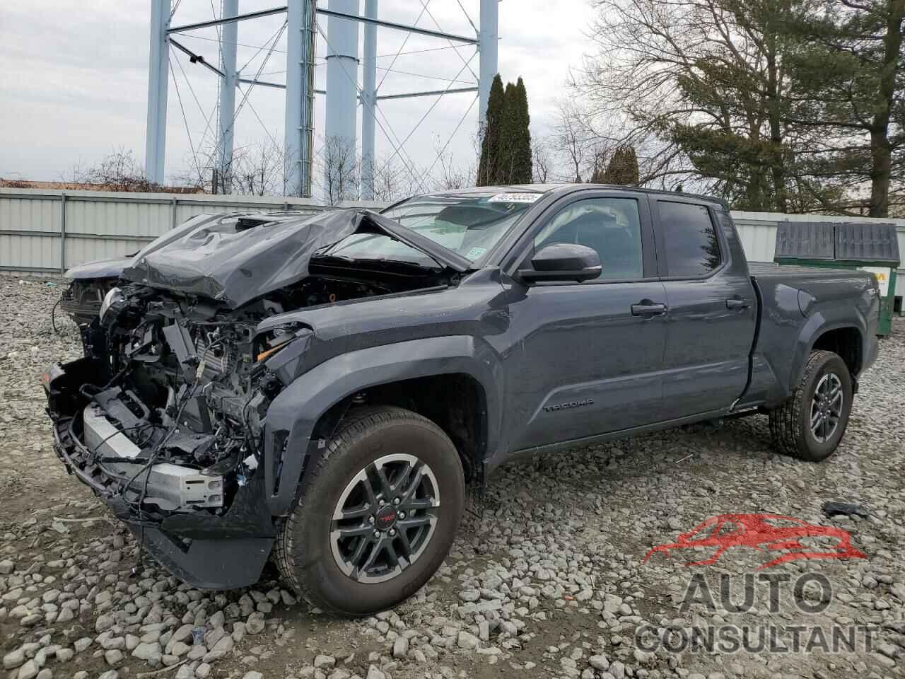 TOYOTA TACOMA 2024 - 3TYLB5JN2RT053456