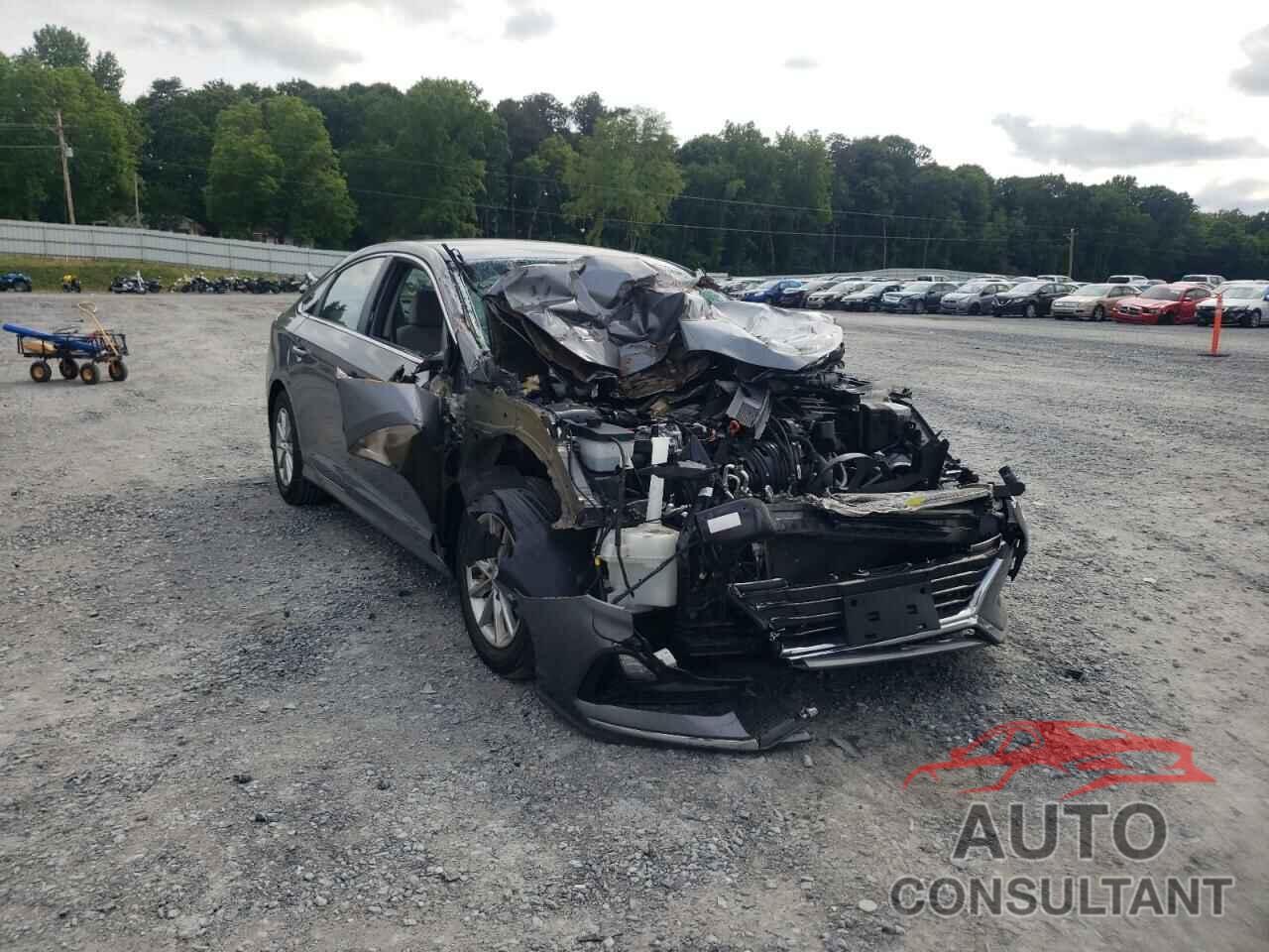 HYUNDAI SONATA 2019 - 5NPE24AF3KH790426