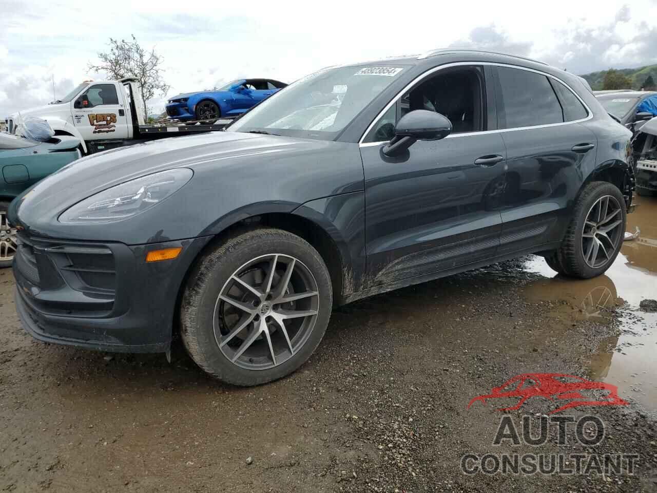 PORSCHE MACAN BASE 2023 - WP1AA2A53PLB05744