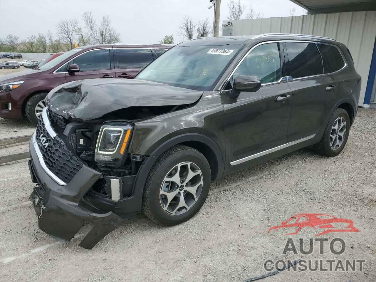 KIA TELLURIDE 2022 - 5XYP34HC5NG253764