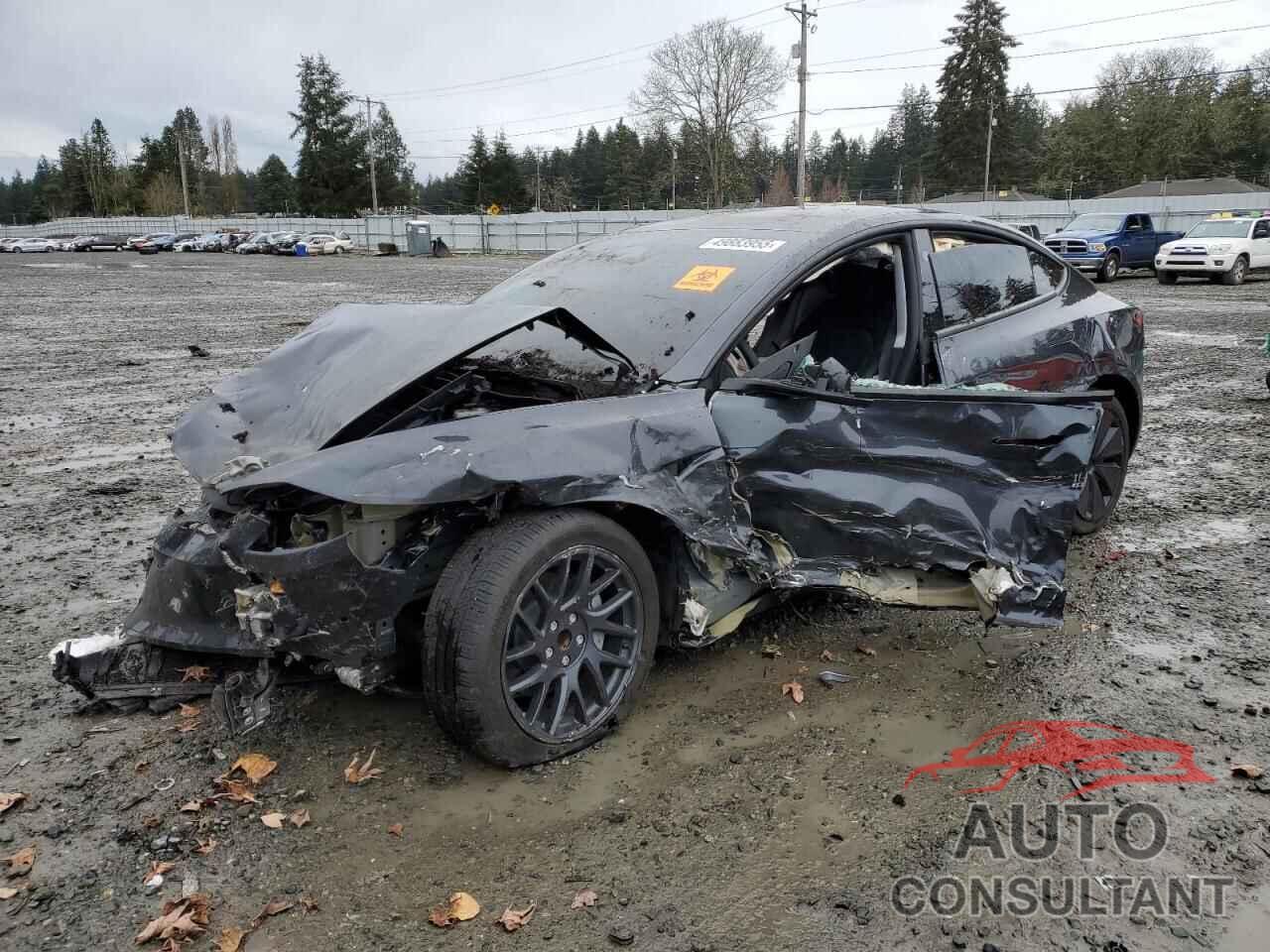 TESLA MODEL 3 2024 - 5YJ3E1EA9RF716917