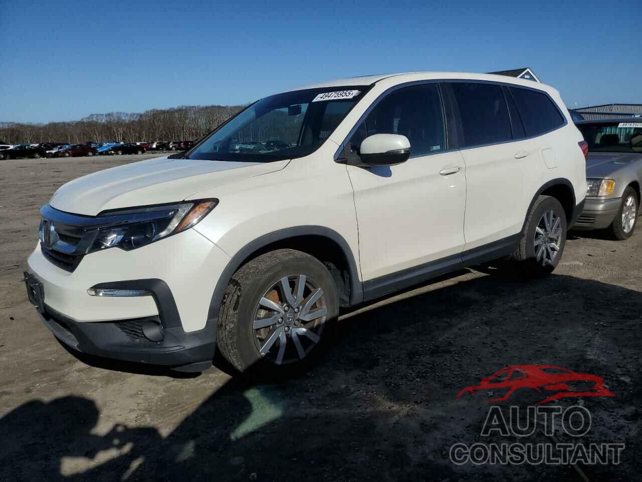 HONDA PILOT 2019 - 5FNYF6H57KB061032