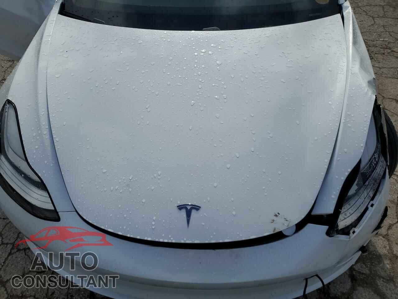 TESLA MODEL 3 2019 - 5YJ3E1EA5KF483253