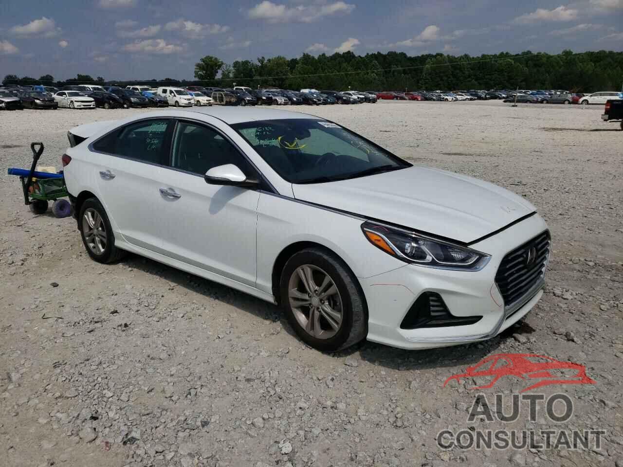 HYUNDAI SONATA 2018 - 5NPE34AF0JH669736