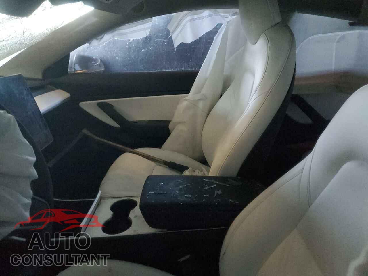 TESLA MODEL 3 2019 - 5YJ3E1EB0KF391105