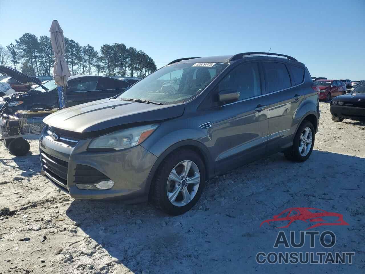 FORD ESCAPE 2014 - 1FMCU0GX8EUD63338