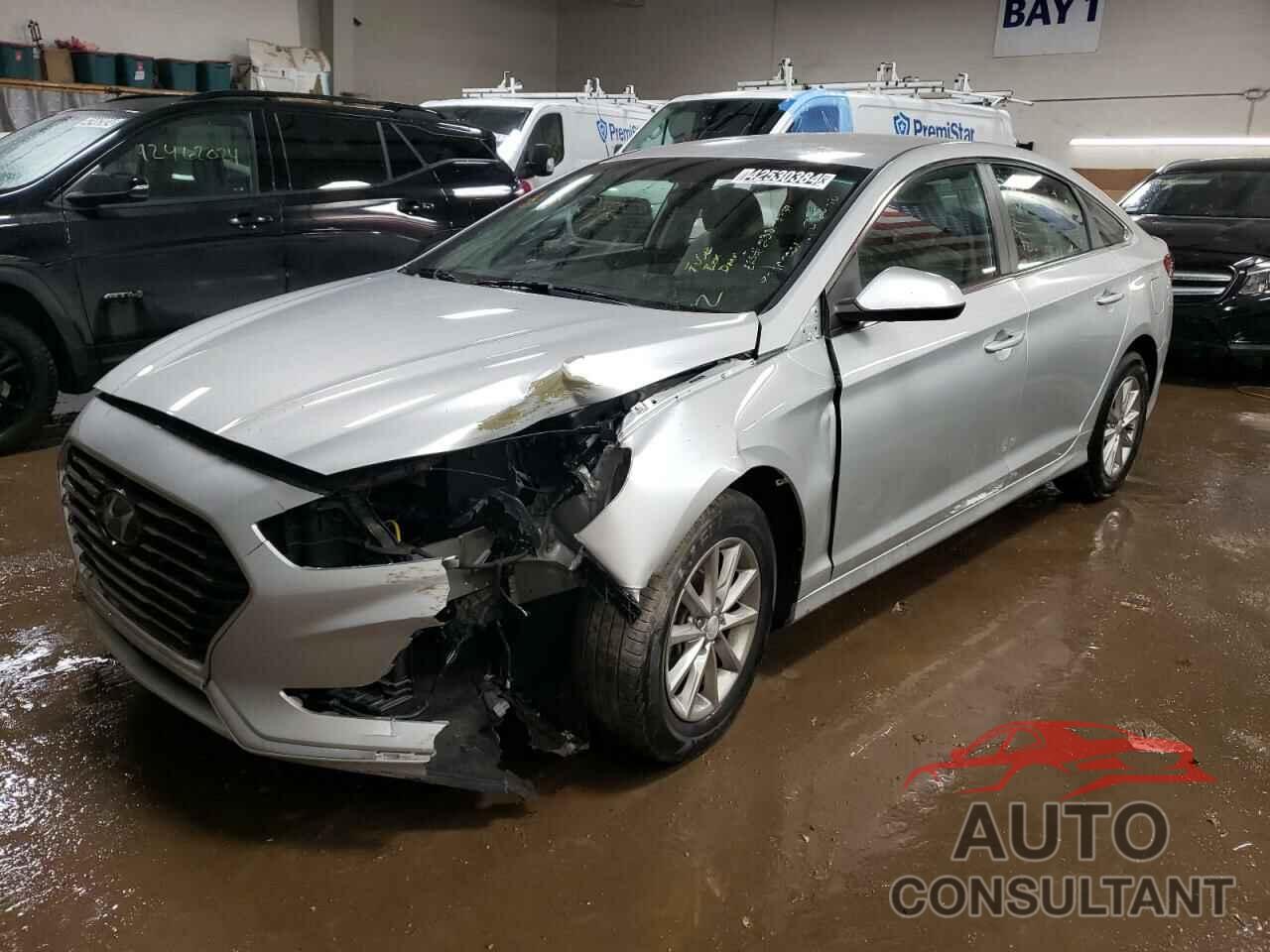 HYUNDAI SONATA 2019 - 5NPE24AF0KH773504