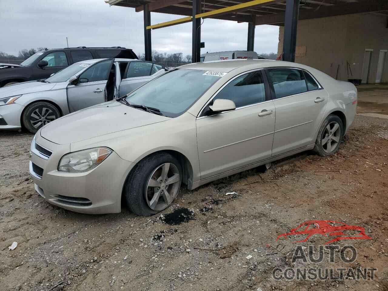 CHEVROLET MALIBU 2011 - 1G1ZC5EU6BF353584