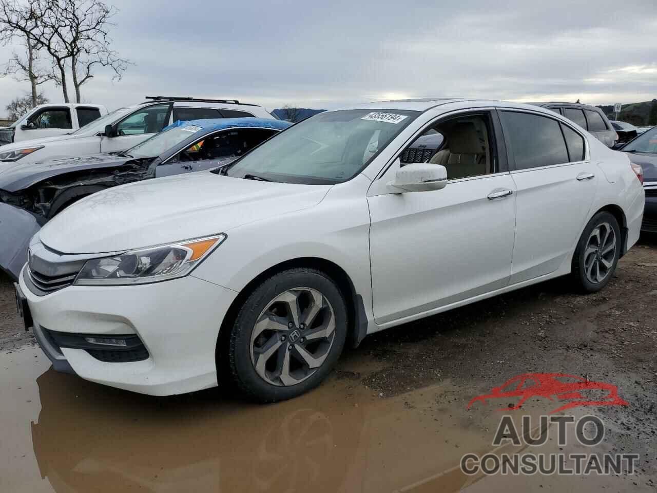 HONDA ACCORD 2016 - 1HGCR2F71GA012862