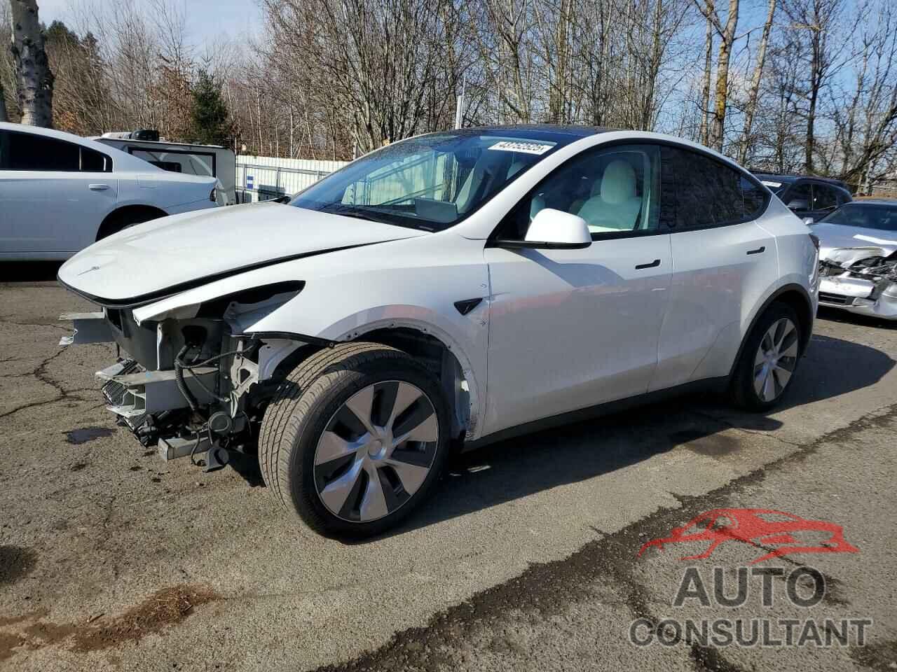 TESLA MODEL Y 2023 - 7SAYGDEE5PF831826