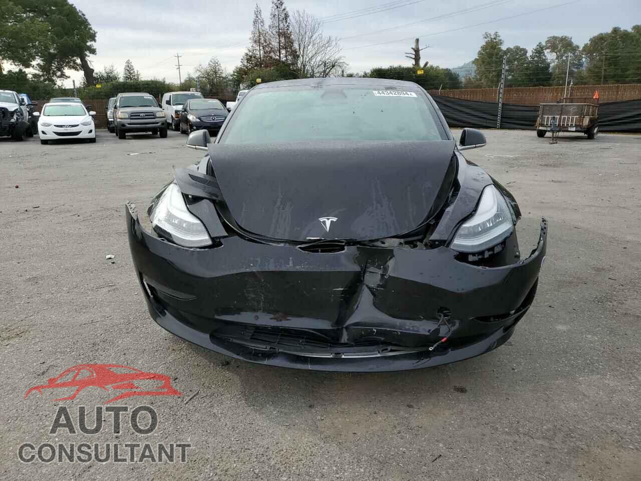 TESLA MODEL 3 2019 - 5YJ3E1EA4KF397903