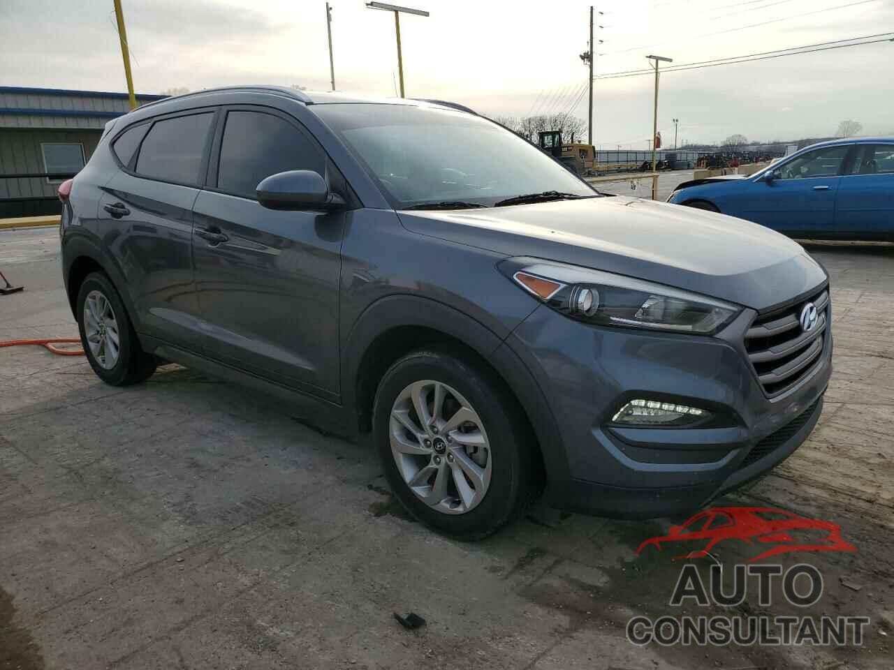 HYUNDAI TUCSON 2016 - KM8J33A40GU063757