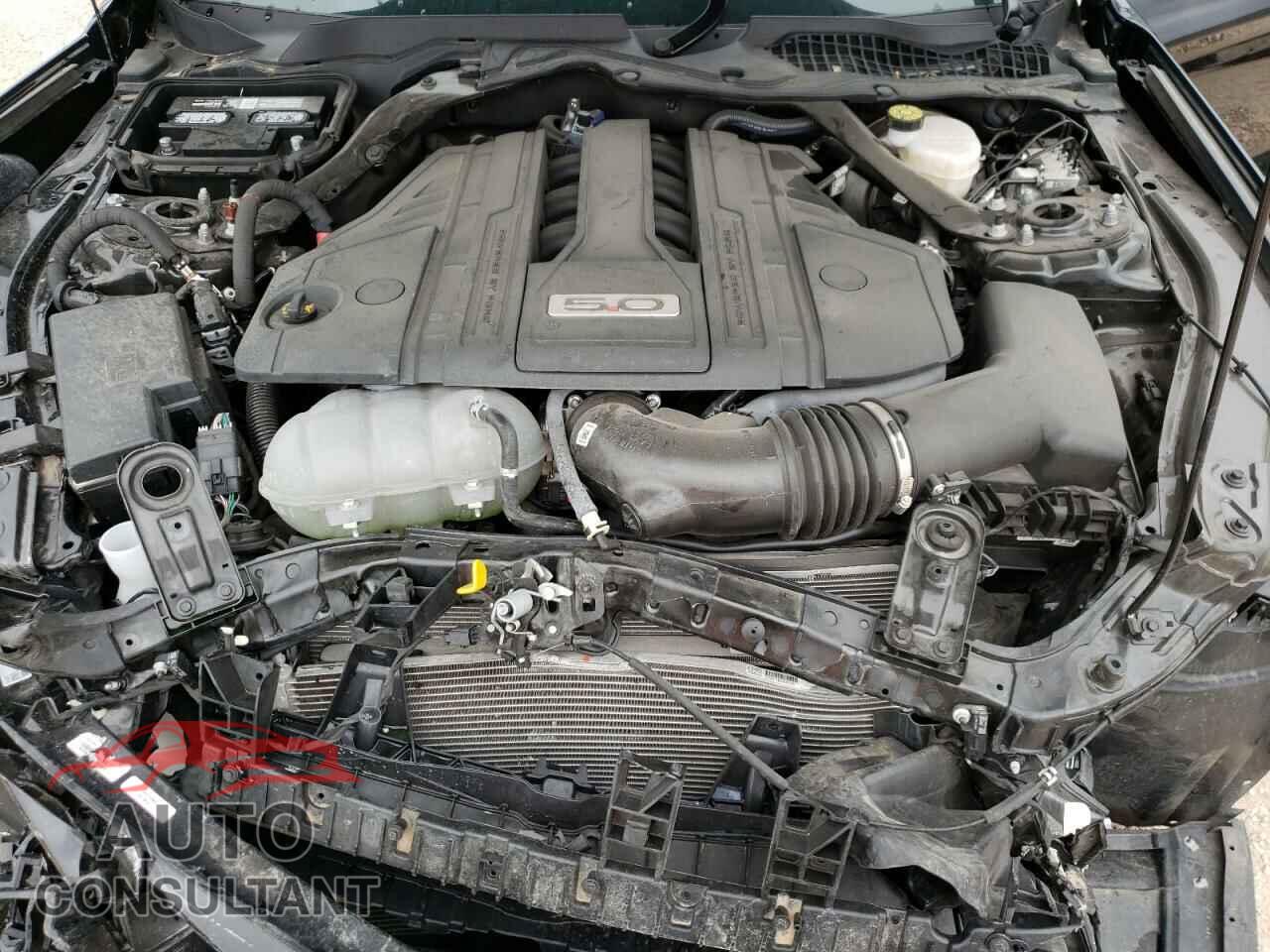 FORD MUSTANG 2021 - 1FA6P8CF1M5113765