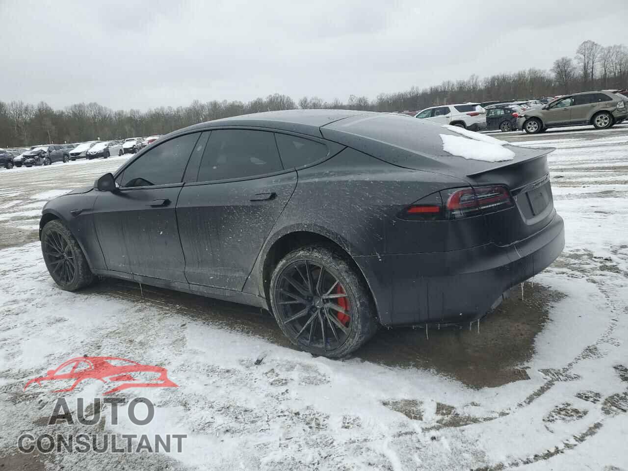 TESLA MODEL S 2023 - 5YJSA1E66PF502841