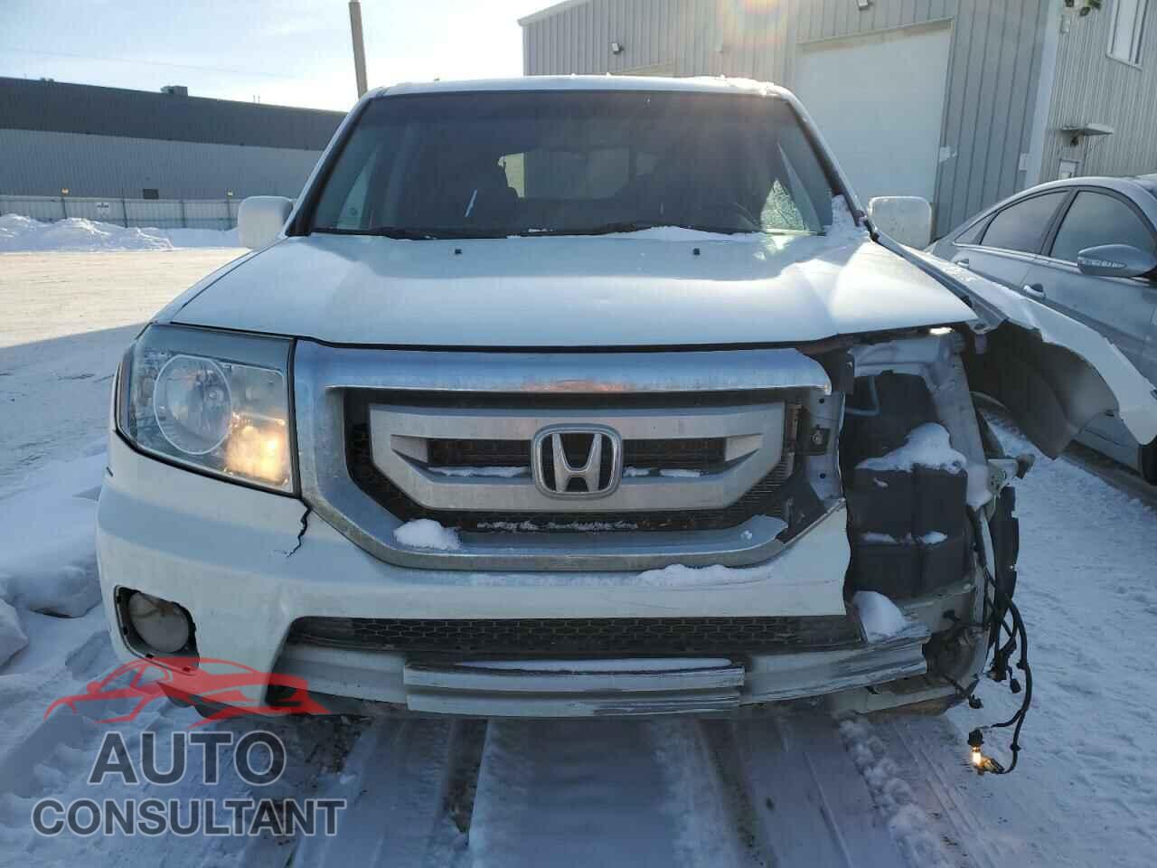 HONDA PILOT 2011 - 5FNYF4H91BB501592