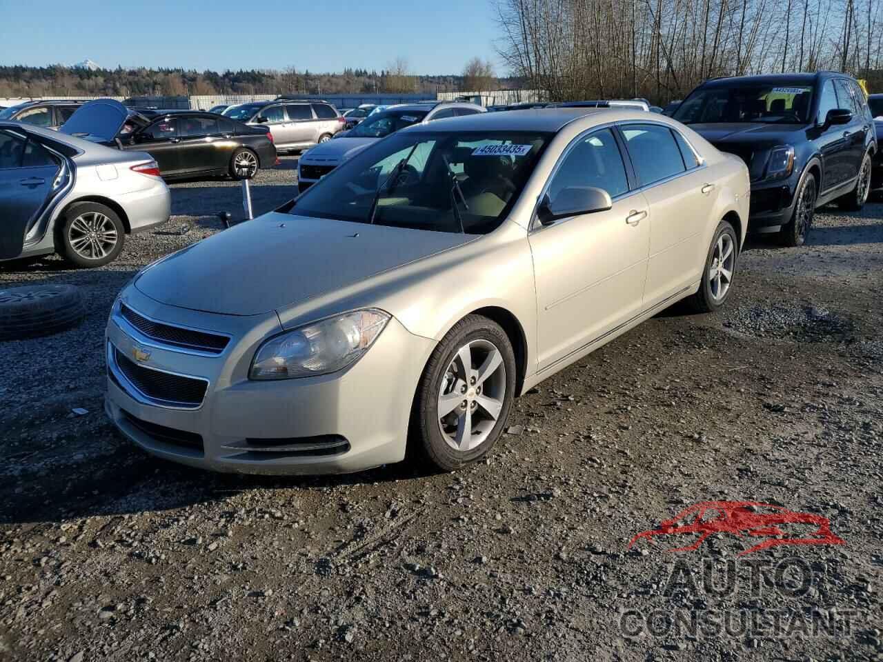 CHEVROLET MALIBU 2011 - 1G1ZC5E16BF237775