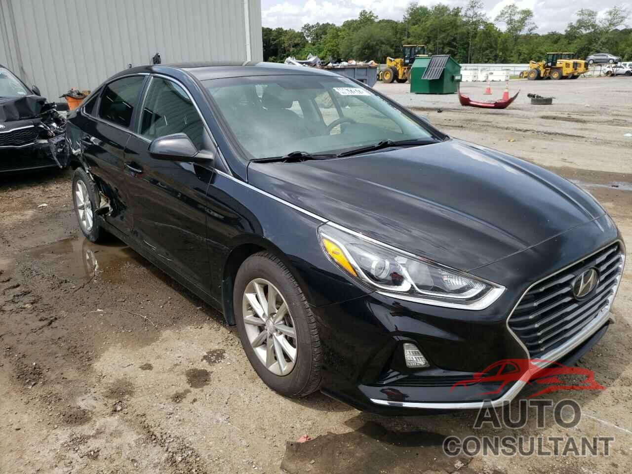 HYUNDAI SONATA 2019 - 5NPE24AF5KH746041
