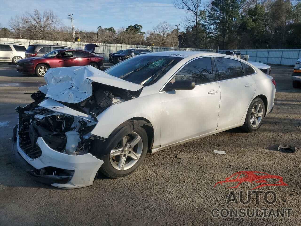CHEVROLET MALIBU 2019 - 1G1ZB5ST0KF146770