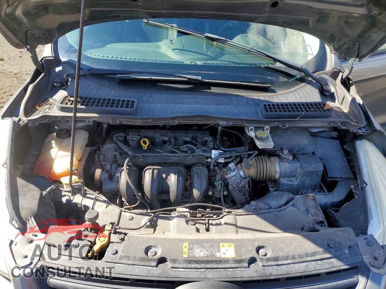 FORD ESCAPE 2014 - 1FMCU0F76EUD05519