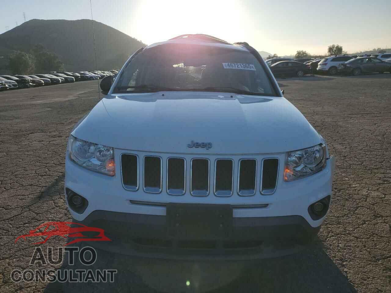 JEEP COMPASS 2011 - 1J4NT1FB7BD236694