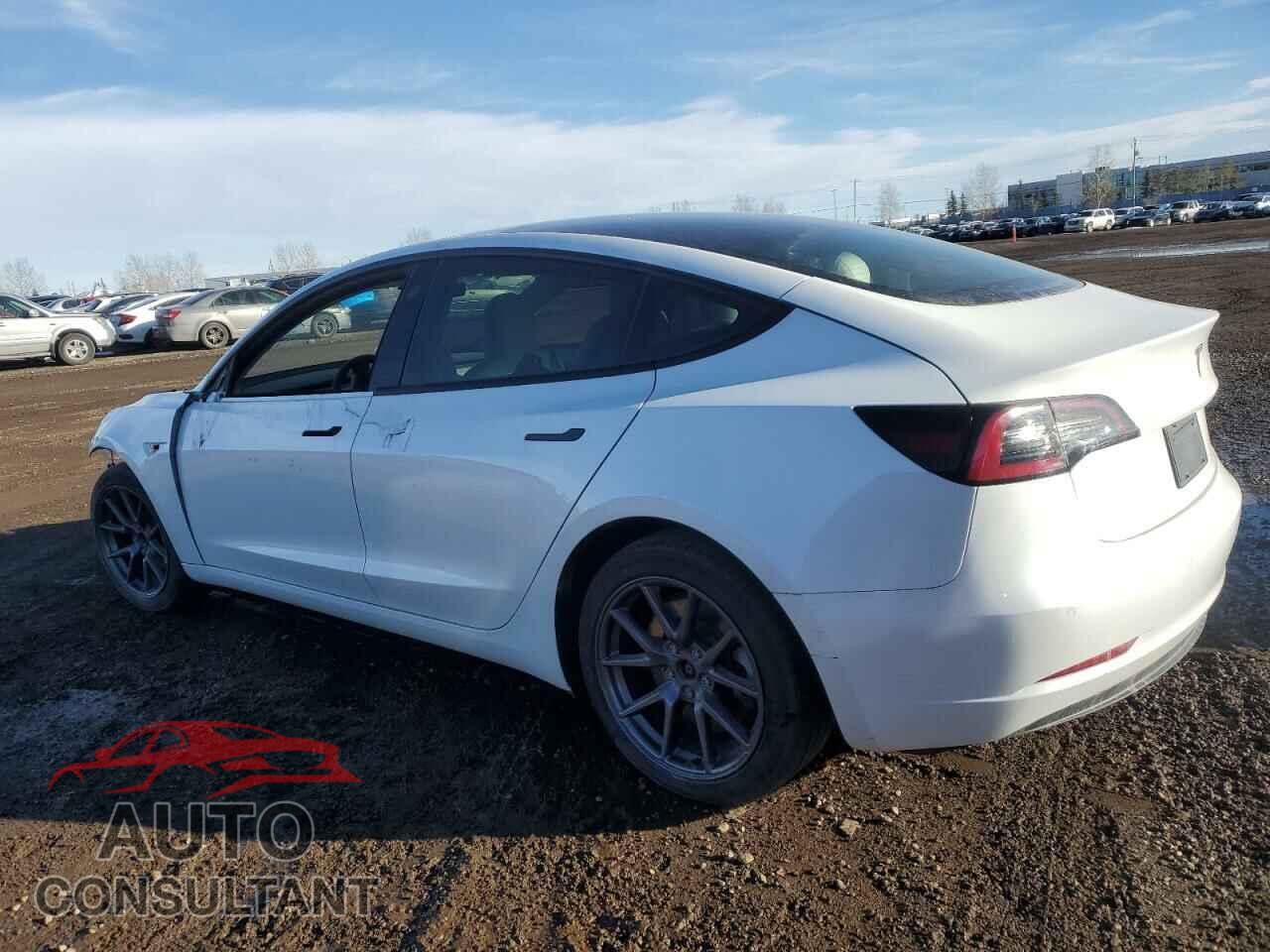 TESLA MODEL 3 2020 - 5YJ3E1EA3NF361026