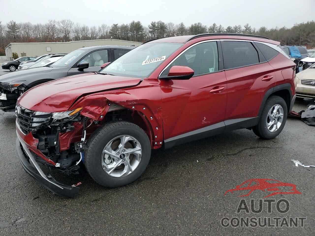 HYUNDAI TUCSON 2024 - 5NMJBCDE4RH411405