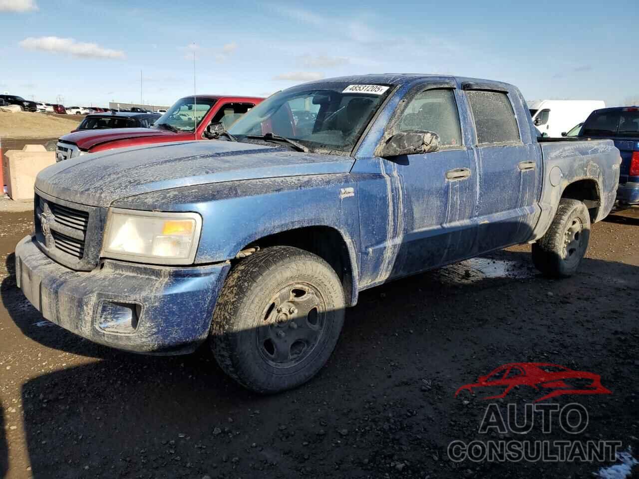 DODGE DAKOTA 2011 - 1D7RW3GP6BS683006