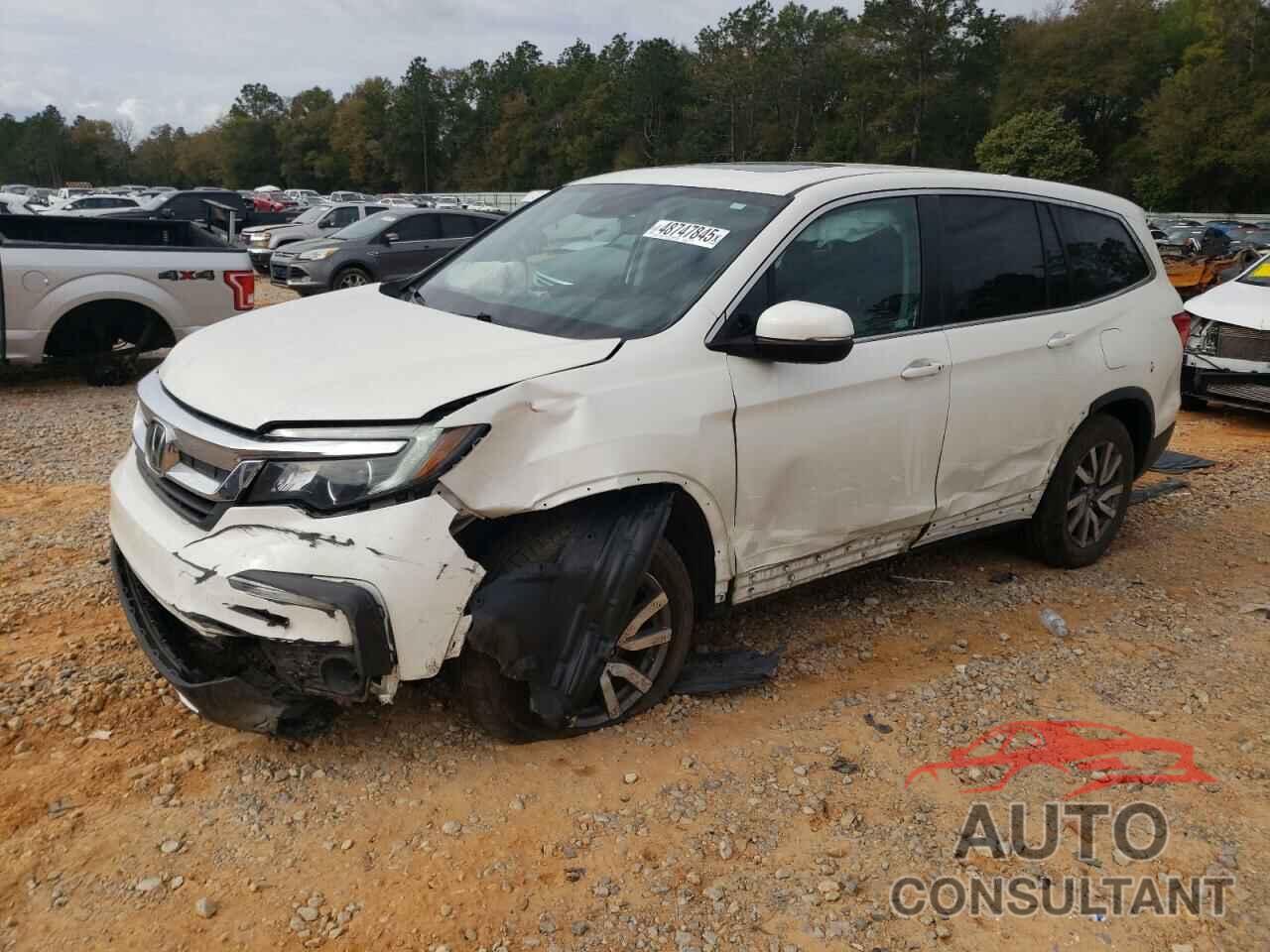 HONDA PILOT 2019 - 5FNYF6H51KB046154