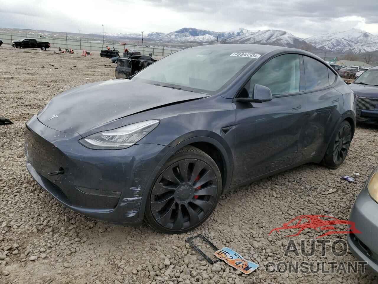 TESLA MODEL Y 2020 - 5YJYGDEF1LF053752