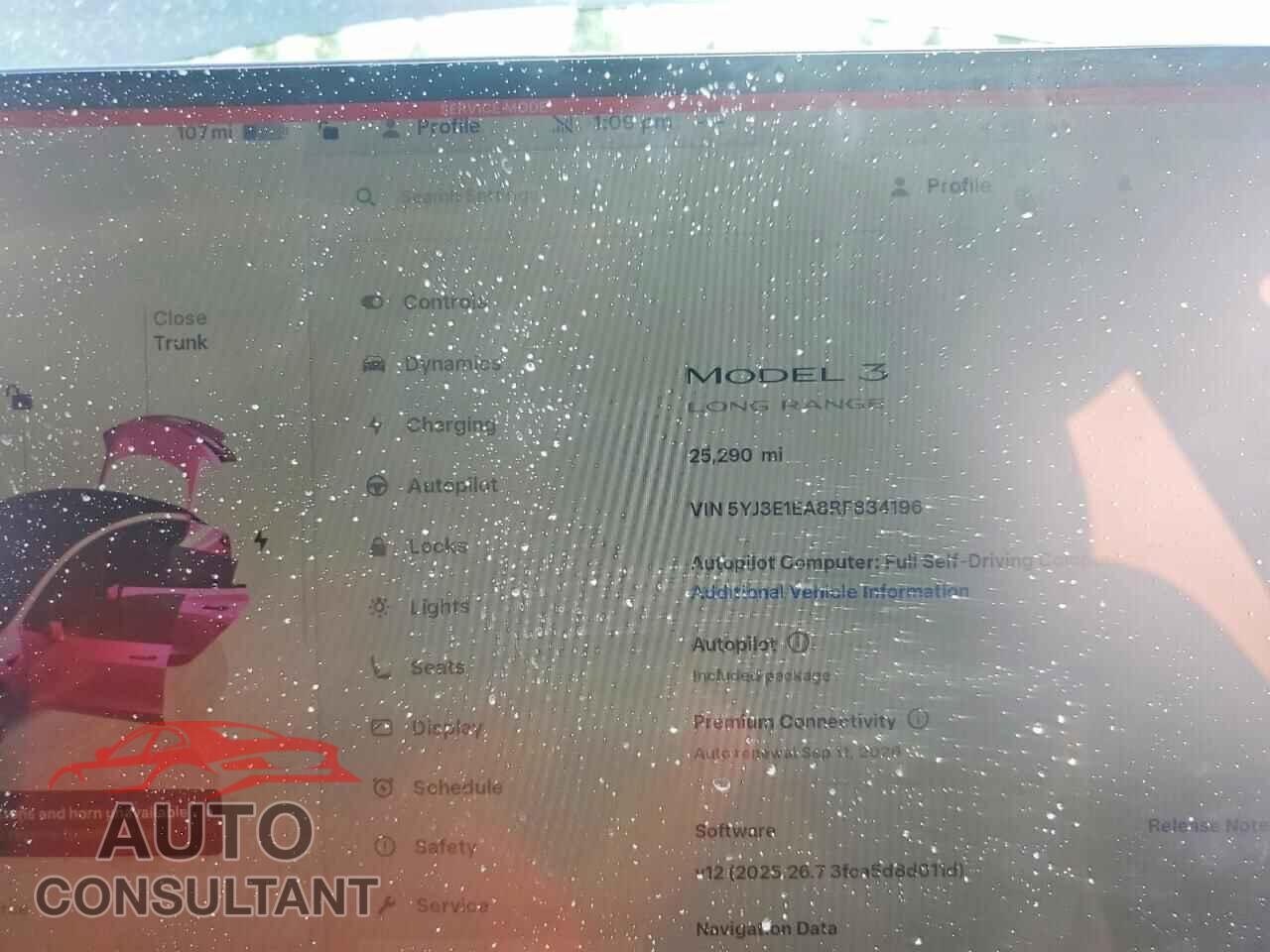 TESLA MODEL 3 2024 - 5YJ3E1EA8RF834196