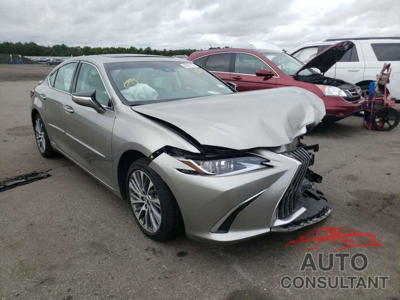 LEXUS ES300 2021 - 58ADA1C15MU008428