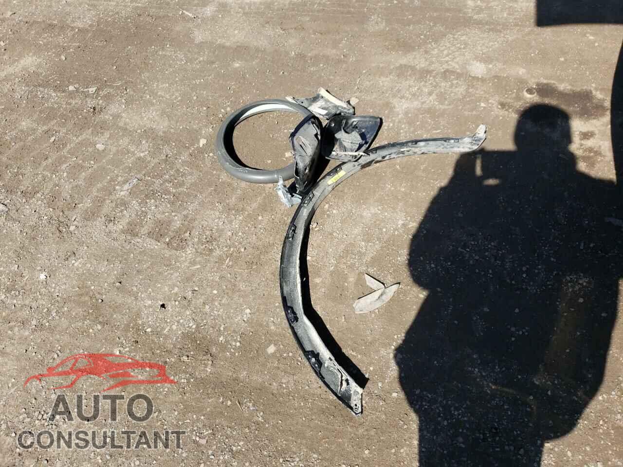 DODGE CARAVAN 2009 - 2D8HN44E89R681398