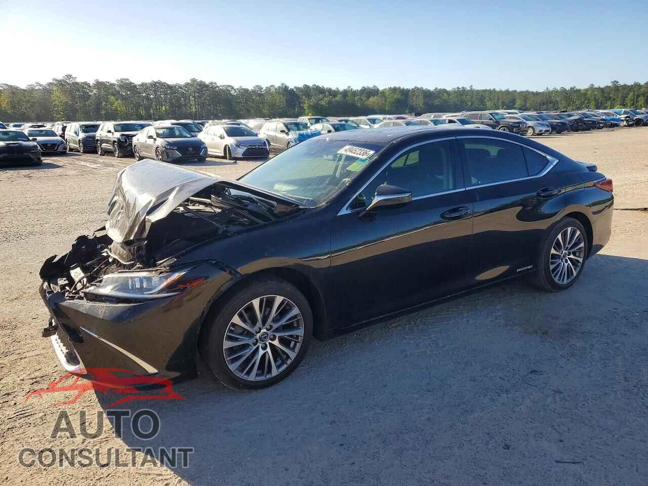 LEXUS ES300 2019 - JTHB21B11K2028054