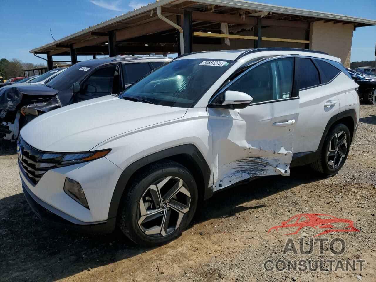 HYUNDAI TUCSON 2024 - 5NMJF3DE0RH299044