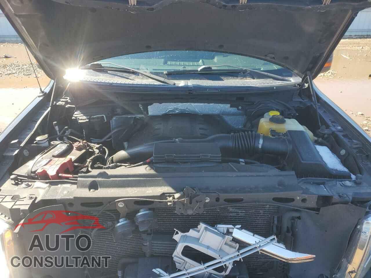 FORD F-150 2013 - 1FTFW1ETXDFD25419