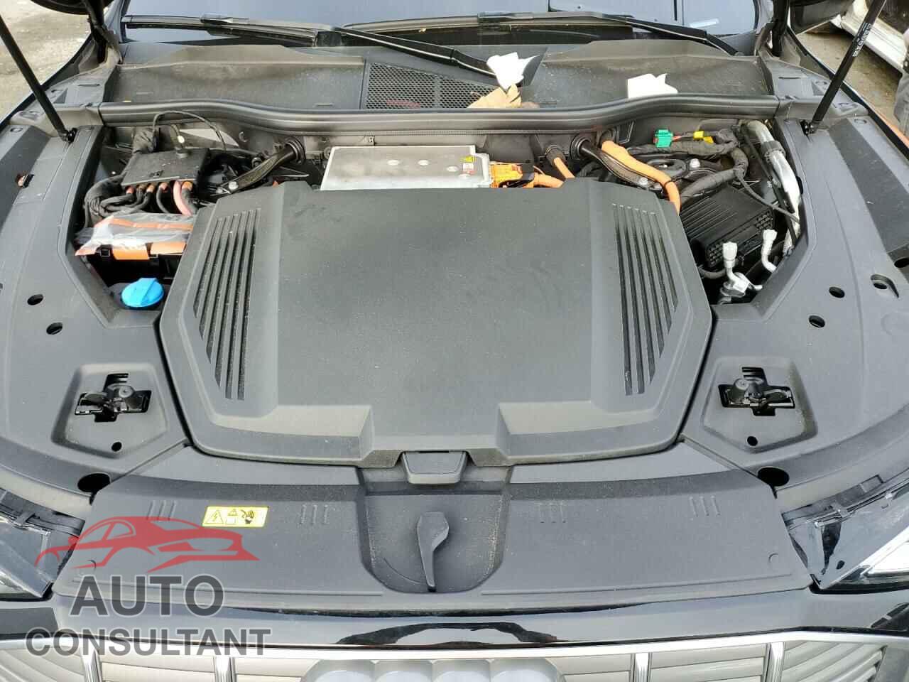 AUDI E-TRON 2022 - WA12AAGE8NB023545