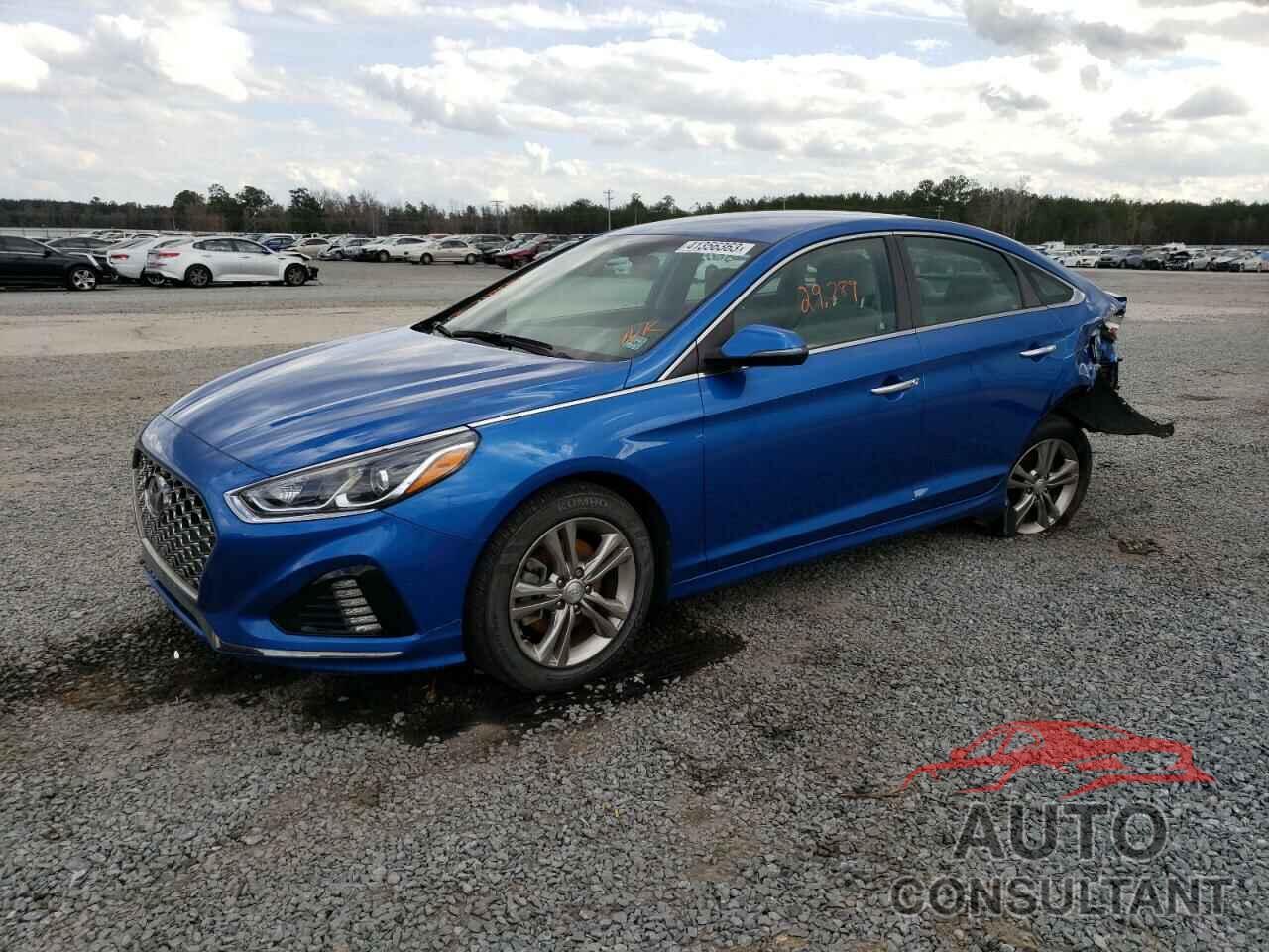HYUNDAI SONATA 2019 - 5NPE34AF5KH763225