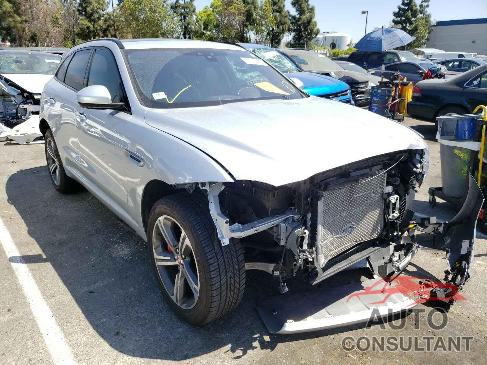 JAGUAR F-PACE 2019 - SADCM2FV1KA369564