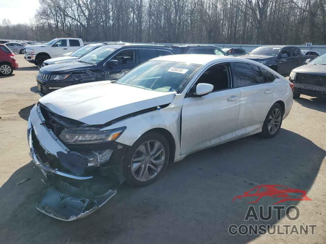 HONDA ACCORD 2019 - 1HGCV1F15KA030517