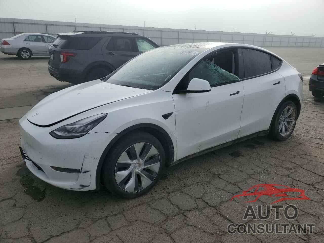 TESLA MODEL Y 2021 - 5YJYGDEE5MF304619