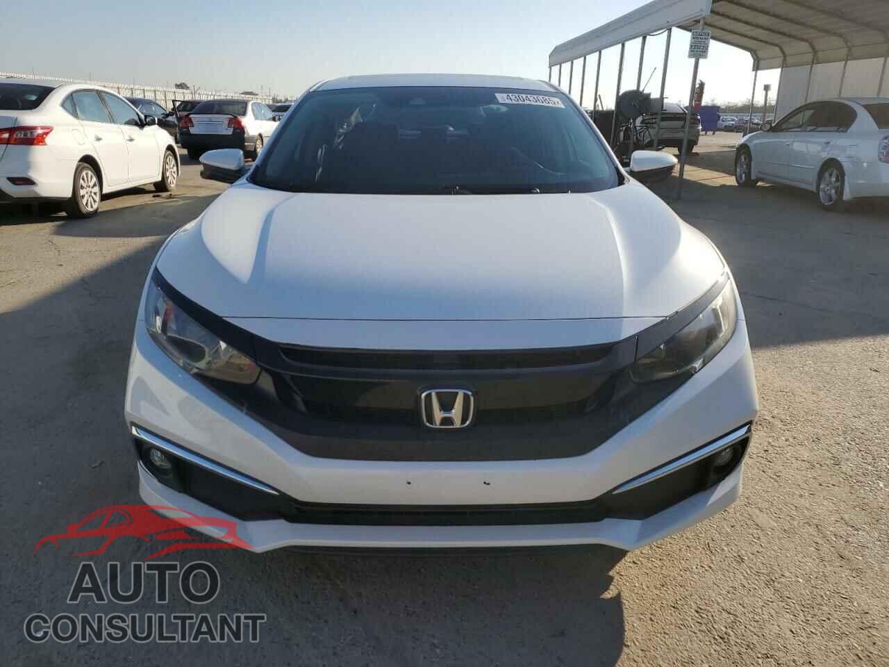 HONDA CIVIC 2019 - 19XFC1F38KE206668