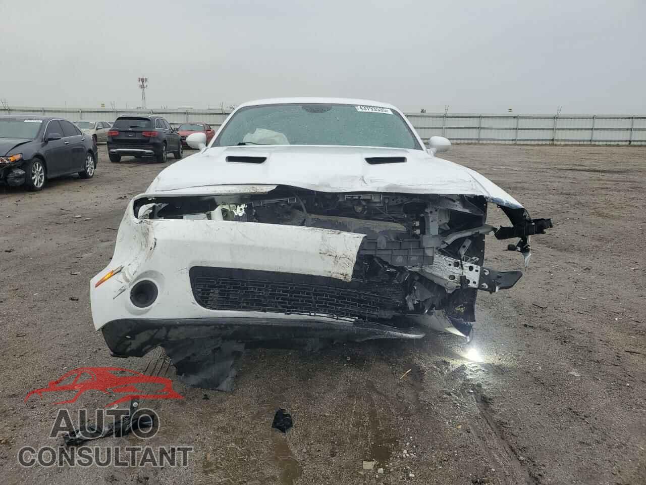 DODGE CHALLENGER 2019 - 2C3CDZAG6KH672309