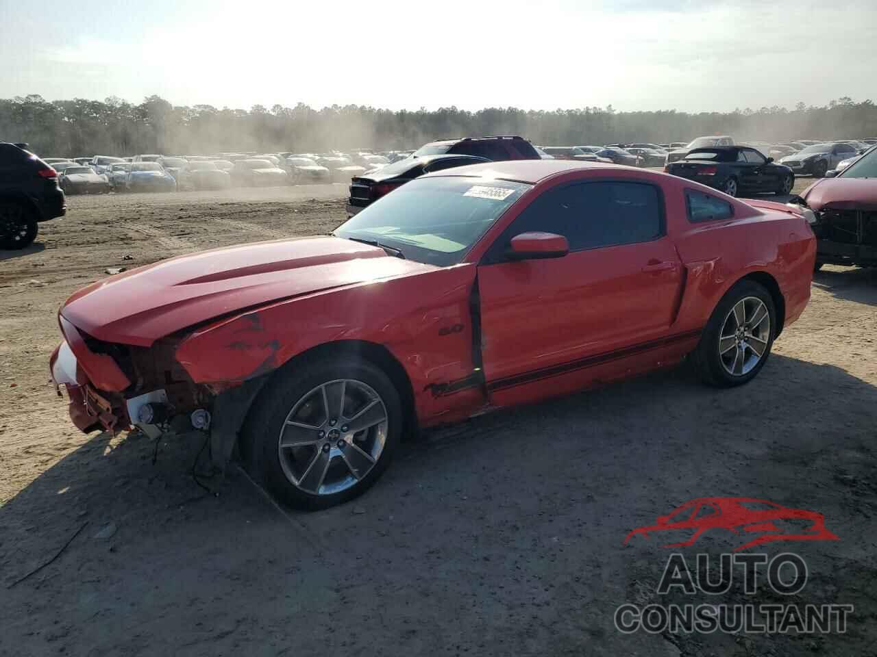 FORD MUSTANG 2011 - 1ZVBP8CF5B5151289