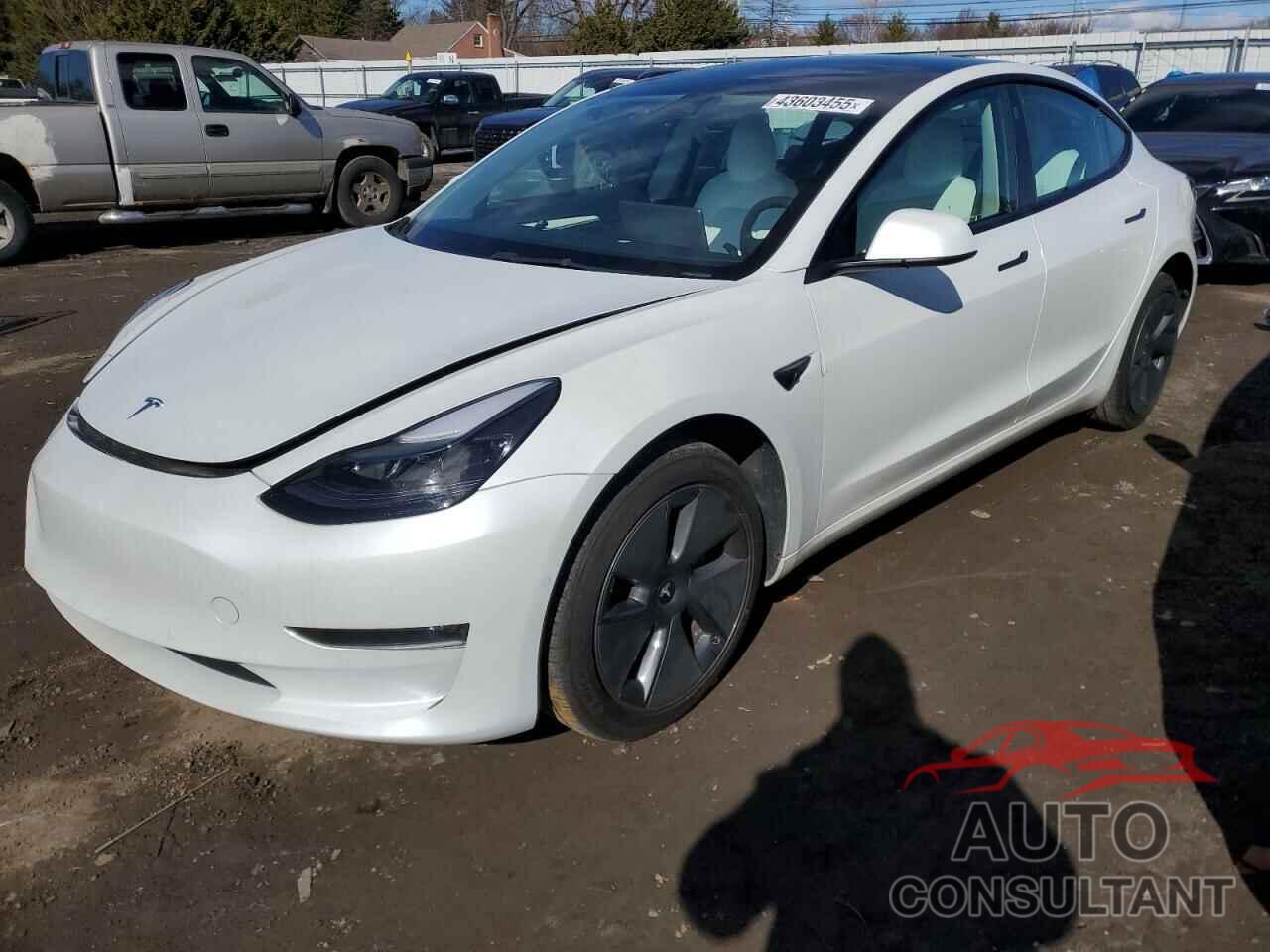 TESLA MODEL 3 2022 - 5YJ3E1EAXNF303639