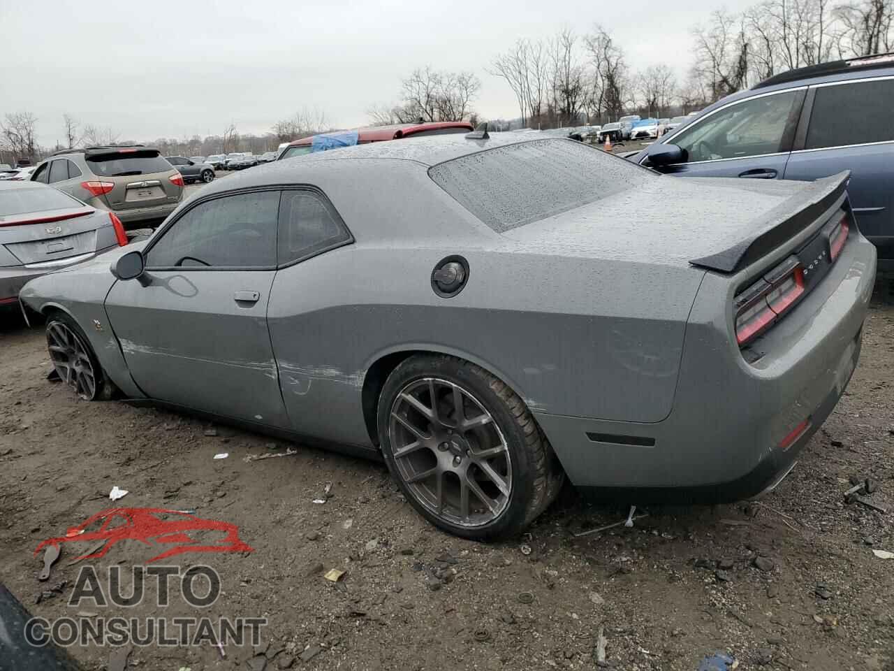 DODGE CHALLENGER 2017 - 2C3CDZFJ6HH517806